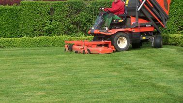 100_3010.JPG 100_3010.JPG