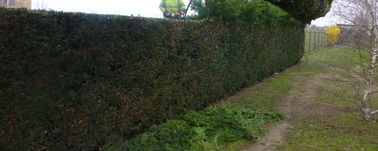 P1070028.JPG P1070028.JPG